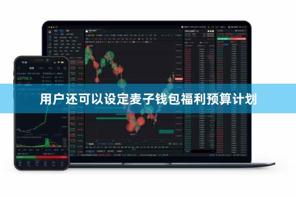 用户还可以设定麦子钱包福利预算计划