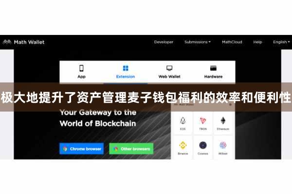 极大地提升了资产管理麦子钱包福利的效率和便利性