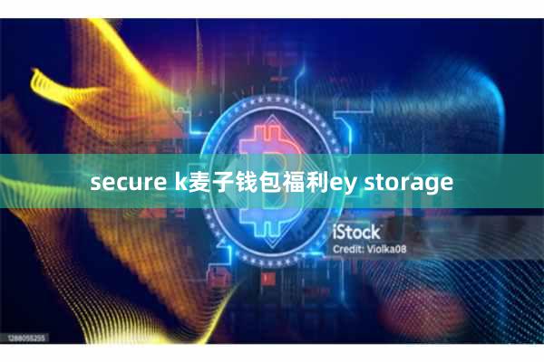 secure k麦子钱包福利ey storage