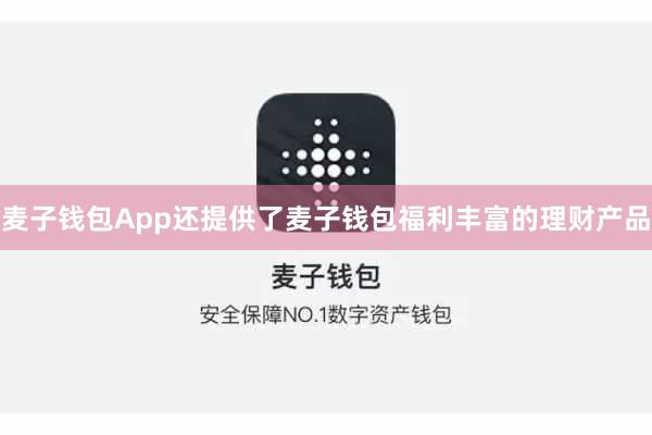 麦子钱包App还提供了麦子钱包福利丰富的理财产品