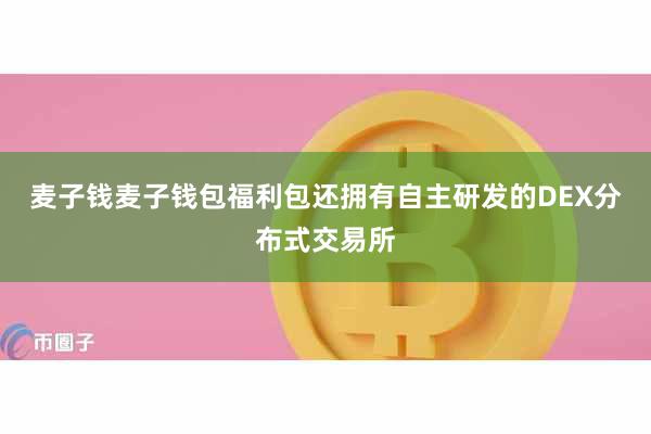 麦子钱麦子钱包福利包还拥有自主研发的DEX分布式交易所